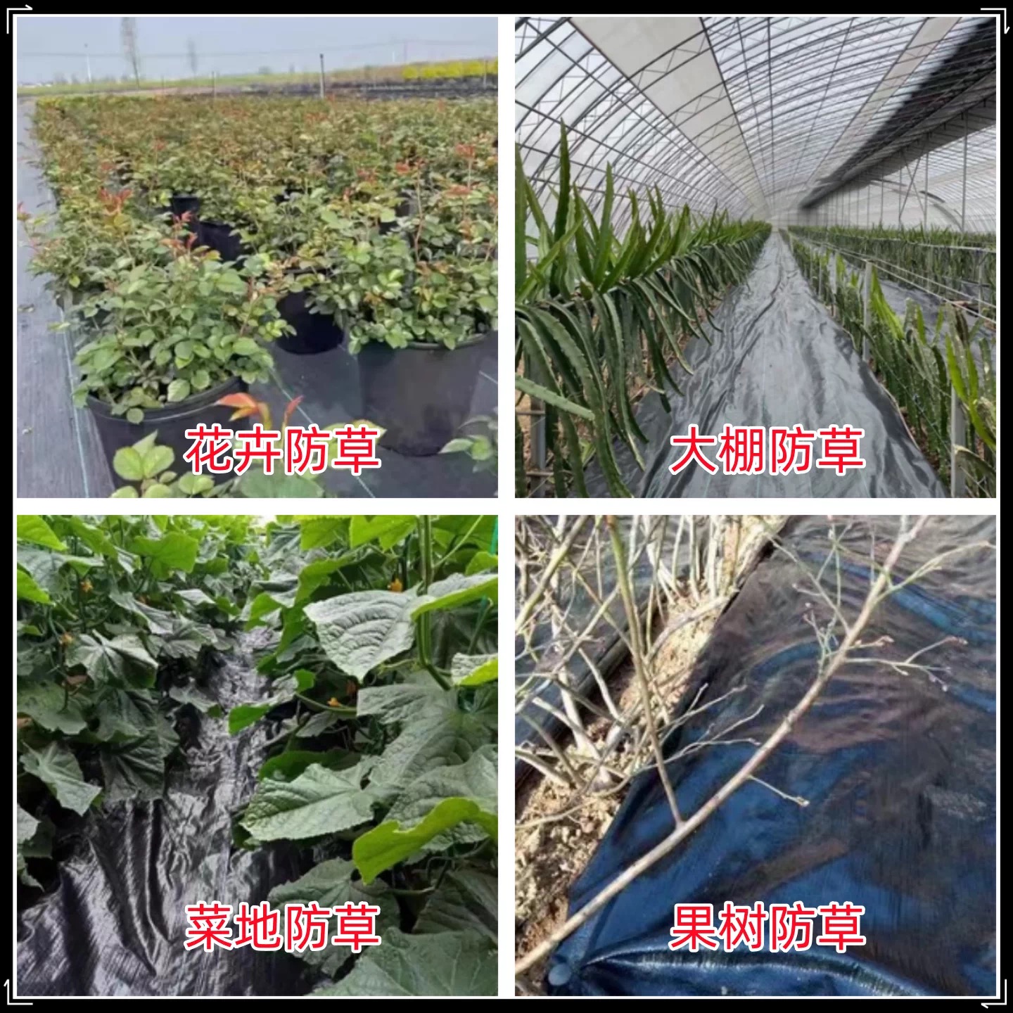 南通市防草布防草布 - 方案