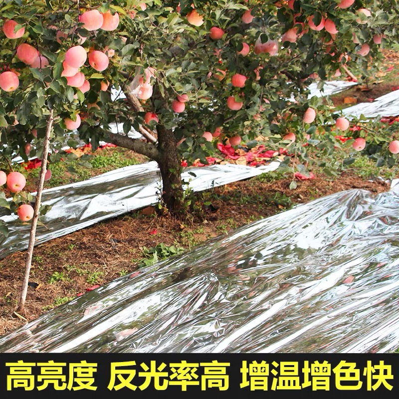 南通市地膜果树反光膜 - 方案
